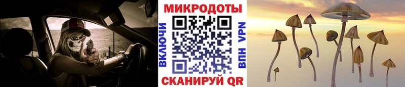 OMG   Кировск  Галлюциногенные грибы Psilocybe  как найти  