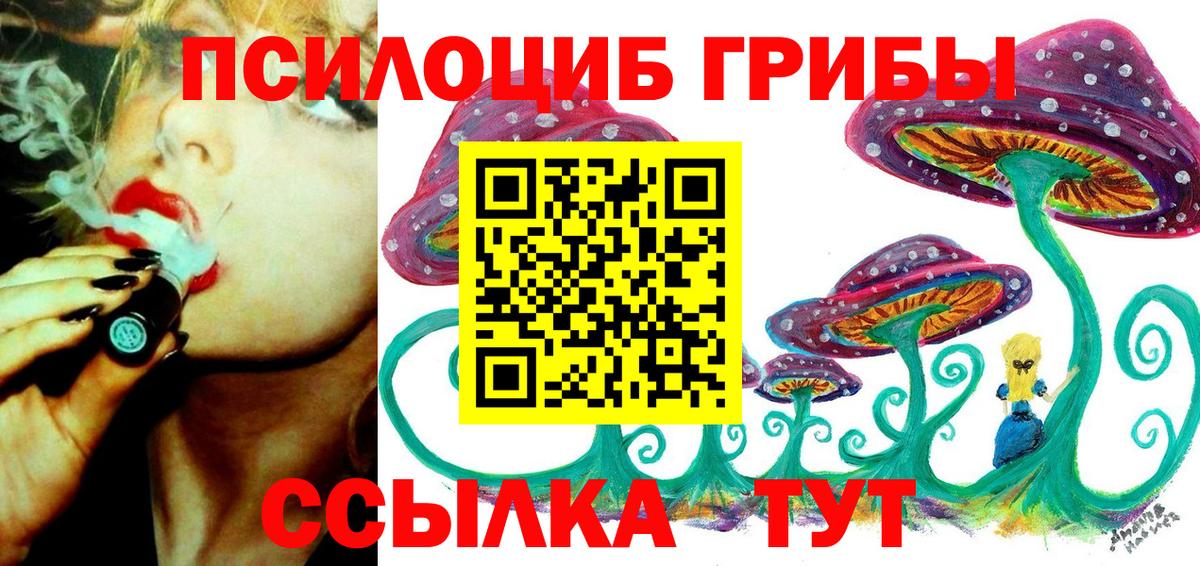 Псилоцибиновые грибы GOLDEN TEACHER Кировск