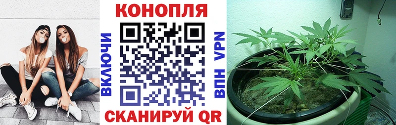 хочу наркоту  Кировск  Бошки марихуана Bruce Banner 